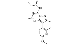 8-(6-甲氧基-2-甲基-3-吡啶基)-2,7-二甲基-N-[(1R)-1-甲基丙基]吡唑并[1,5-A]-1,3,5-三嗪-4-胺