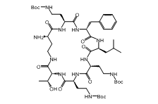 tri-tert-butyl (((2S,5R,8S,11S,14S,17R,22S)-22-amino-5-benzyl-17-((R)-1-hydroxyethyl)-8-isobutyl-3,6,9,12,15,18,23-heptaoxo-1,4,7,10,13,16,19-heptaazacyclotricosane-2,11,14-triyl)tris(ethane-2,1-diyl))tricarbamate