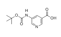 5-叔丁氧羰基氨基吡啶-3-羧酸