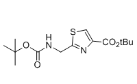 tert-butyl 2-(((tert-butoxycarbonyl)amino)methyl)thiazole-4-carboxylate