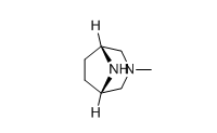 3-甲基-3,8-二氮杂双环[3.2.1]辛烷